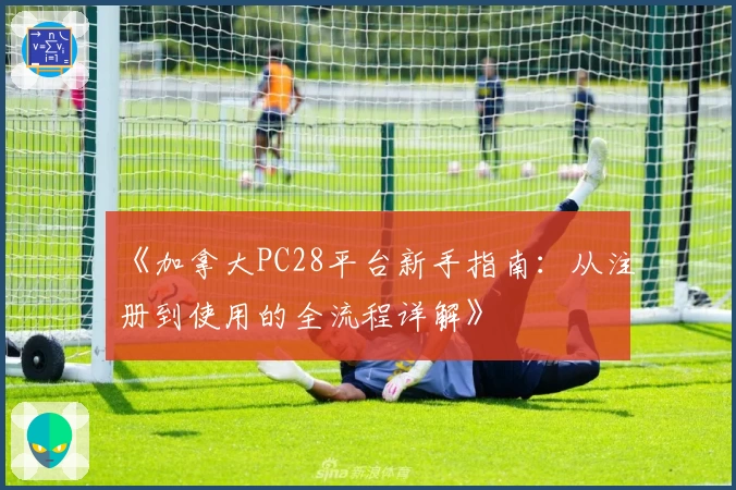 《加拿大PC28平台新手指南：从注册到使用的全流程详解》