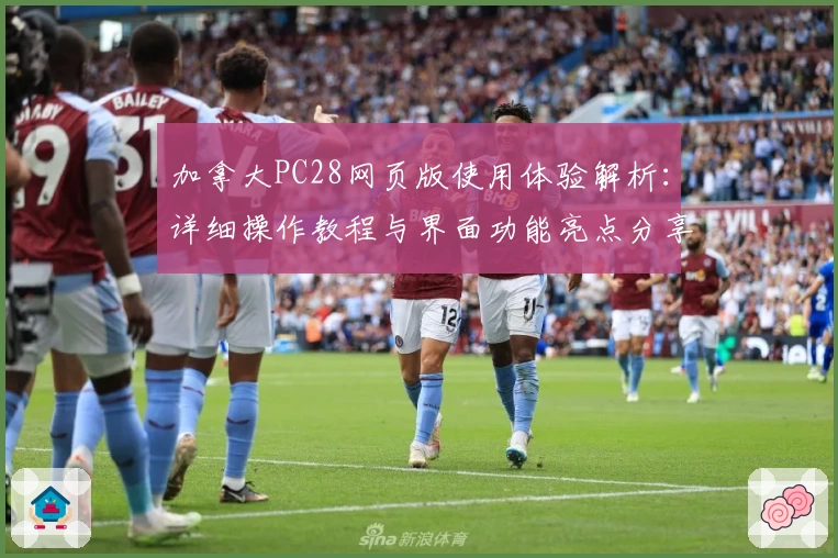 加拿大PC28网页版使用体验解析：详细操作教程与界面功能亮点分享