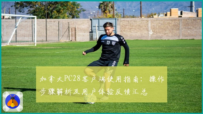 加拿大PC28客户端使用指南：操作步骤解析及用户体验反馈汇总