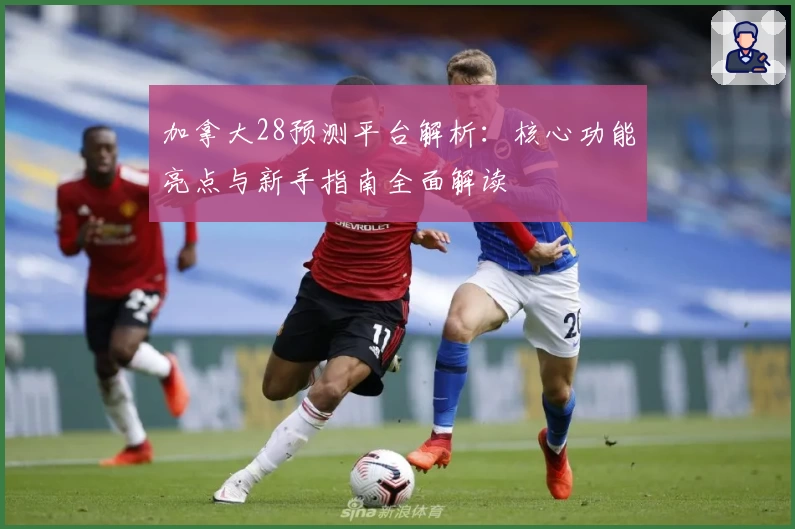 加拿大28预测平台解析：核心功能亮点与新手指南全面解读