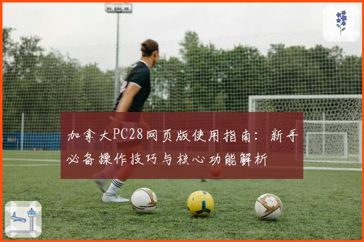 加拿大PC28网页版使用指南：新手必备操作技巧与核心功能解析