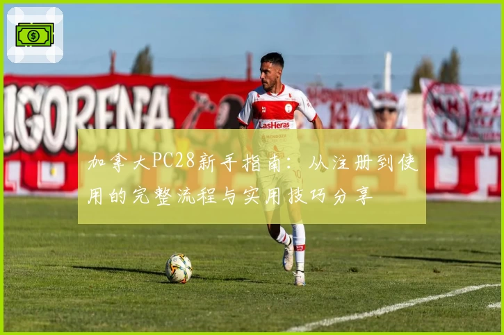 加拿大PC28新手指南：从注册到使用的完整流程与实用技巧分享