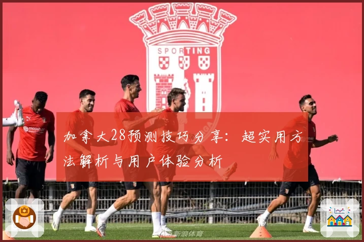 加拿大28预测技巧分享:超实用方法解析与用户体验分析