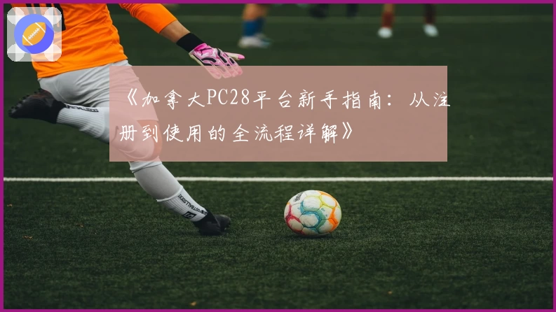 《加拿大PC28平台新手指南:从注册到使用的全流程详解》