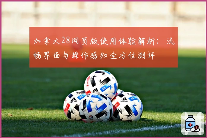 加拿大28网页版使用体验解析：流畅界面与操作感知全方位测评