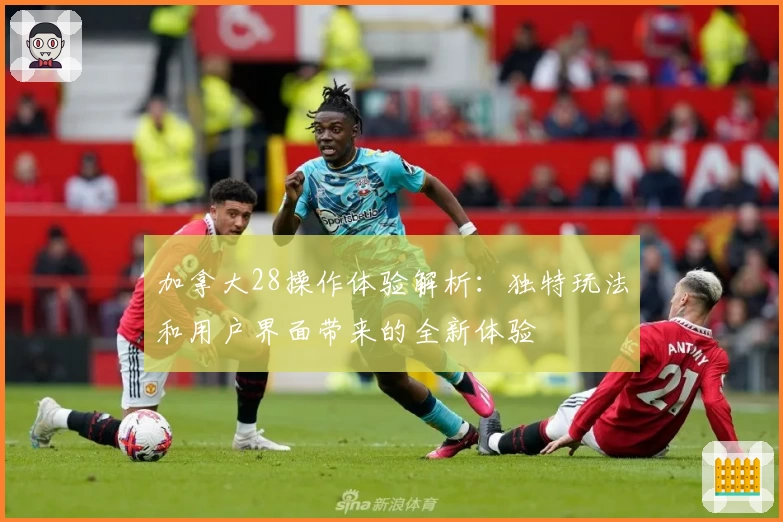 加拿大28操作体验解析：独特玩法和用户界面带来的全新体验