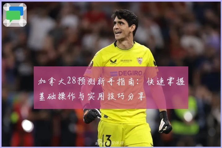加拿大28预测新手指南：快速掌握基础操作与实用技巧分享