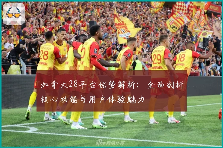 加拿大28平台优势解析:全面剖析核心功能与用户体验魅力